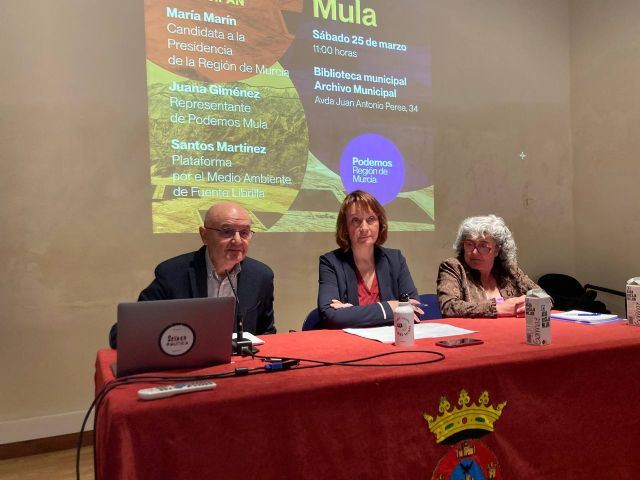 Podemos apuesta por un modelo  fotovoltaico alternativo al de las grandes macroplantas - 1, Foto 1