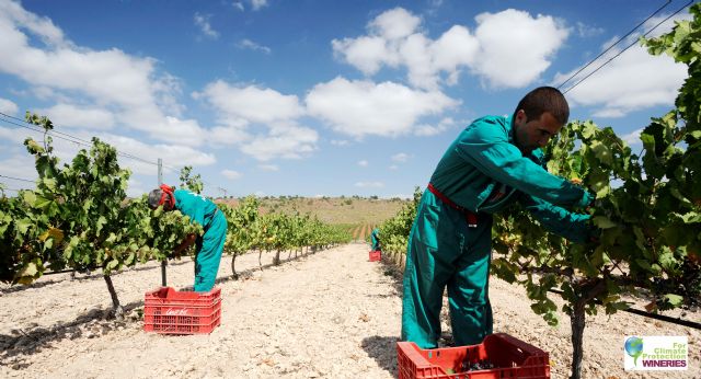 Bodegas Luzón renueva su compromiso con el medioambiente con el certificado SWfCP - 2, Foto 2
