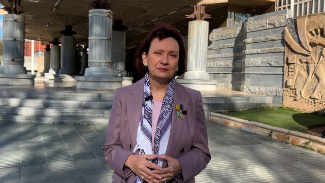 Podemos lleva a la Asamblea la solidaridad con Palestina - 1, Foto 1