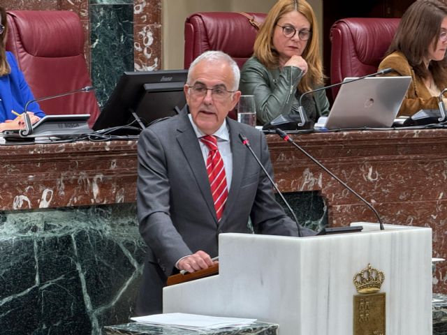 Alfonso Martínez: La culpa de lo que está pasando en las ITV la tiene el Gobierno regional, que es un pésimo gestor y va a destrozar la Región a trozos - 1, Foto 1