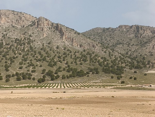Las ayudas para explotaciones agrícolas en zonas de montaña y en zonas con limitaciones naturales alcanzan los 6 millones - 1, Foto 1