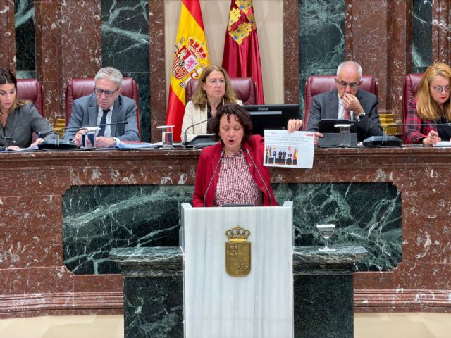 Podemos-IU-AV saca adelante en la Asamblea Regional una moción de apoyo al pueblo saharaui pese al rechazo de PSOE y Vox - 2, Foto 2