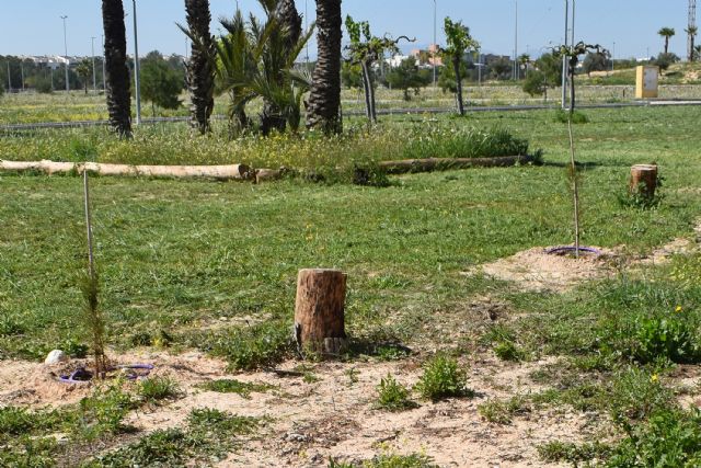 Roban árboles en una zona reforestada del Parque de la Antena - 2, Foto 2