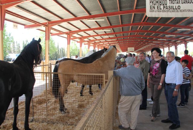 Puerto Lumbreras acogerá este fin de semana la  Feria de Ganado Equino - 1, Foto 1