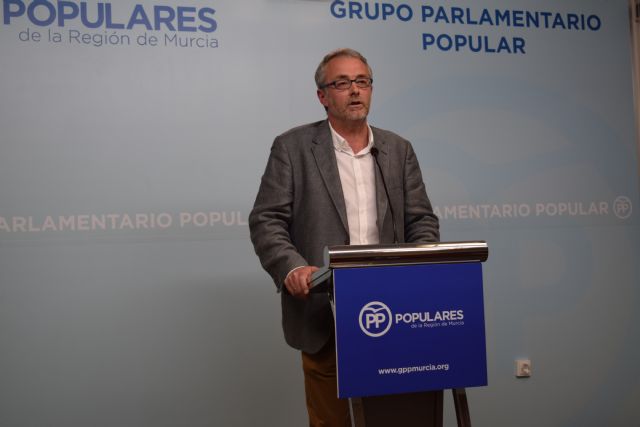 Domingo Segado : Sin la autorización de los diputados de Ciudadanos no se hubieran tramitado ni pagado las facturas irregulares - 1, Foto 1