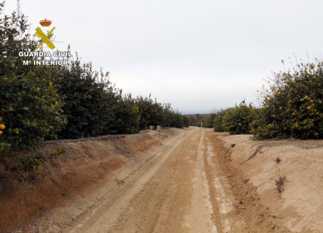 La Guardia Civil detiene e investiga a ocho personas por el hurto de diez toneladas de ctricos, Foto 2