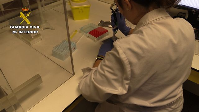 Día Mundial del ADN - 4, Foto 4