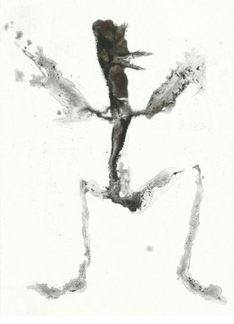 La Galla Ciencia lleva la poesía negra a Murcia - 1, Foto 1