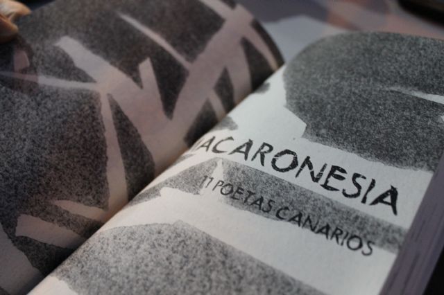 La Galla Ciencia lleva la poesía negra a Murcia - 5, Foto 5