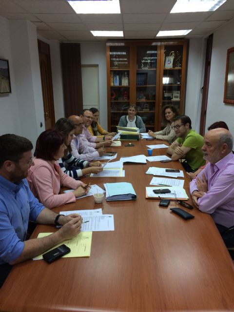 La Junta de Gobierno Local de Molina de Segura aprueba el proyecto de un nuevo colector general de saneamiento en la Avenida de la Industria - 2, Foto 2