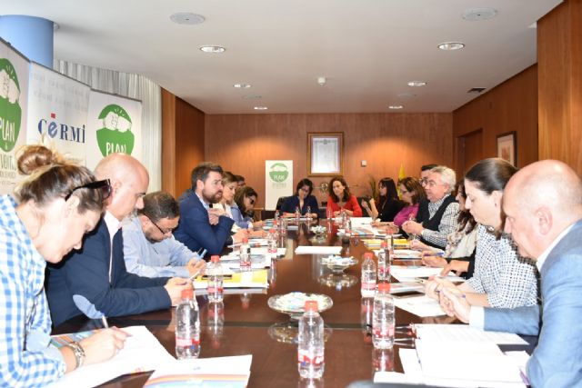 El Comité Español de Representantes de Personas con Discapacidad aporta sus propuestas al Plan de Juventud - 3, Foto 3