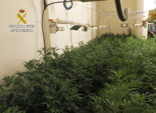 La Guardia Civil desmantela en Alguazas un invernadero clandestino de marihuana tipo indoor - 3, Foto 3