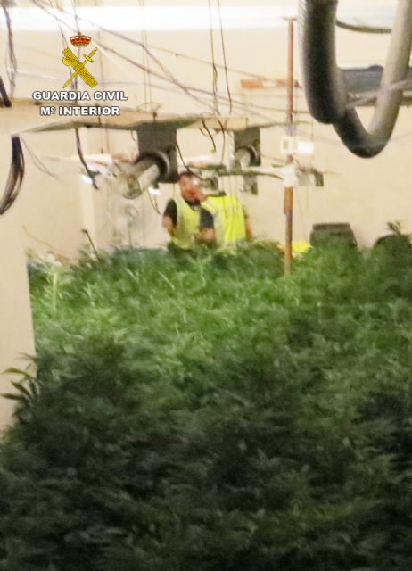 La Guardia Civil desmantela en Alguazas un invernadero clandestino de marihuana tipo indoor - 5, Foto 5