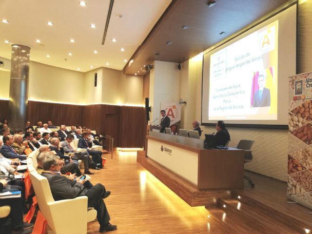 La cosecha regional de almendra prevista para este año aumentará un 10 por ciento respecto al anterior - 1, Foto 1