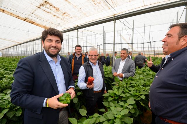 López Miras: El PP es el único que incluye los trasvases en el programa electoral con orgullo y sin complejos - 1, Foto 1