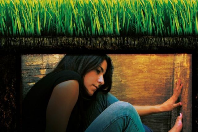 La Junta de Gobierno aprueba el alquiler de una segunda casa de acogida de víctimas de violencia machista - 1, Foto 1