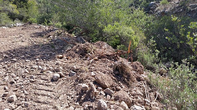 Denuncian ante la CHS el vallado del barranco de Enmedio en el Purgatorio (Sierra Espuña), Foto 2