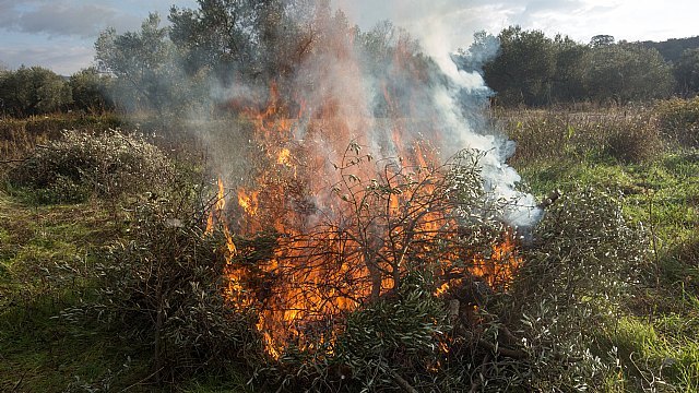Suspenden temporalmente las autorizaciones de quemas agrícolas en el área de influencia del territorio forestal