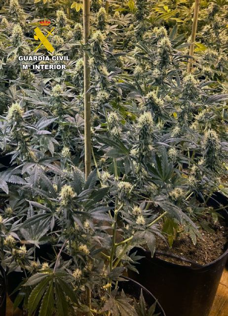 La Guardia Civil detiene a los presuntos autores de una veintena de robos en viviendas de Murcia y de Las Torres de Cotillas - 2, Foto 2