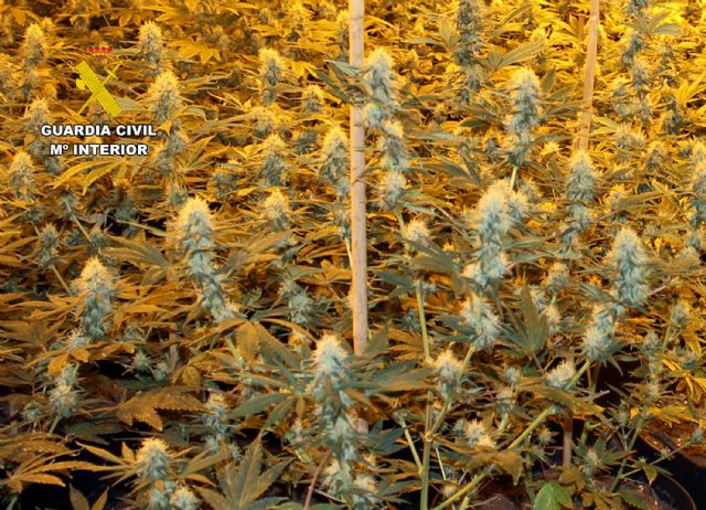 La Guardia Civil detiene a los presuntos autores de una veintena de robos en viviendas de Murcia y de Las Torres de Cotillas - 5, Foto 5