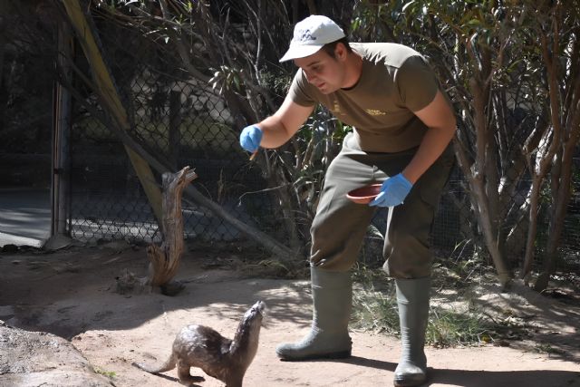 Terra Natura Murcia impulsa la inserción laboral de personas con diversidad funcional - 1, Foto 1