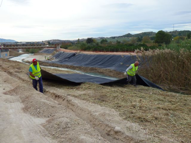 La Confederación Hidrográfica del Segura publica un manual para la gestión de los cañaverales - 1, Foto 1