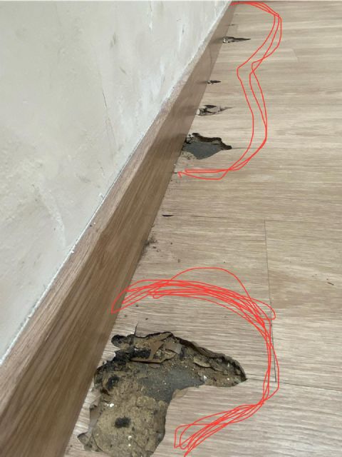 El PSOE exige recuperar La Nave para que los jóvenes de Murcia tengan espacios seguros y dignos - 2, Foto 2