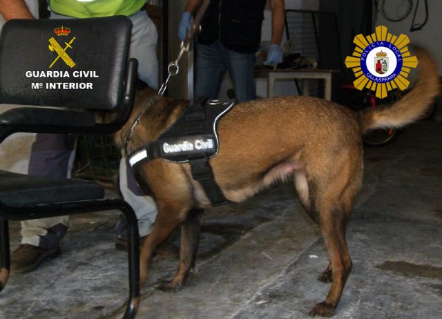 Desmantelan un nuevo punto de distribución y venta de drogas en Calasparra que abastecía a toda la comarca del Noroeste - 1, Foto 1