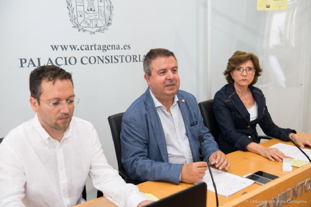 El Ayuntamiento pide la colaboración ciudadana para controlar el mosquito tigre - 2, Foto 2