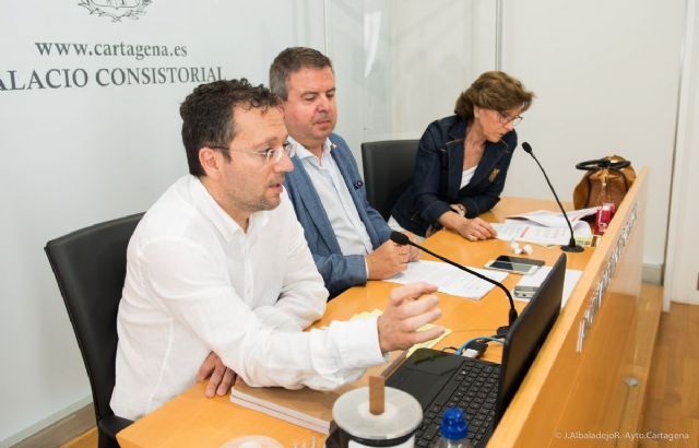 El Ayuntamiento pide la colaboración ciudadana para controlar el mosquito tigre - 3, Foto 3