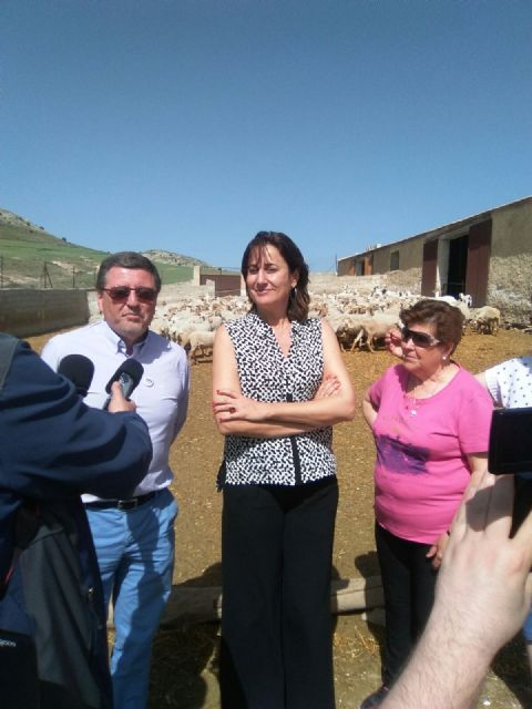 Visita a la explotación ganadera de ovino de Engracia Gil en Caravaca de la Cruz - 1, Foto 1