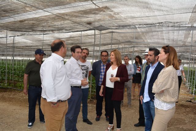 La alcaldesa visita Campojoyma para conocer de primera mano la gestión de residuos vegetales sin impacto medioambiental - 2, Foto 2