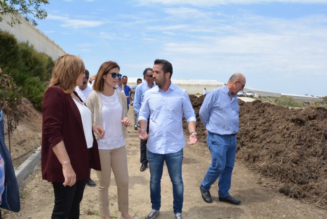 La alcaldesa visita Campojoyma para conocer de primera mano la gestión de residuos vegetales sin impacto medioambiental - 3, Foto 3