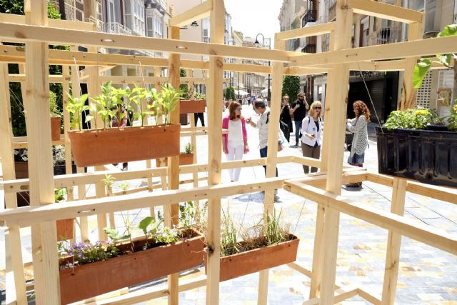 Mucho + Mayo florece en el centro de Cartagena - 1, Foto 1