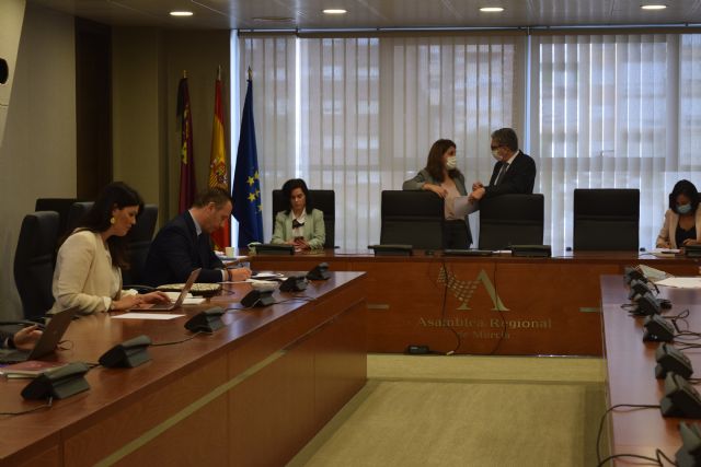 La comisión de Reactivación Económica y Social acuerda iniciar las comparecencias, el próximo lunes, con Fernando Simón - 1, Foto 1