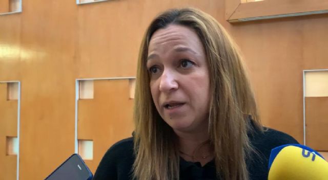 El equipo de Gobierno tacha de populista e irrealizable la moción presentada por VOX y PP de ayudas a autónomos y microempresas - 1, Foto 1