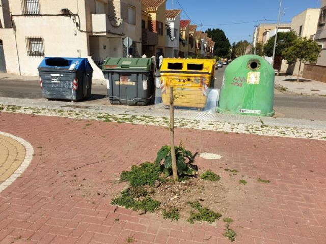 MC propone actuaciones para rescatar los barrios de San Félix y la Urbanización Mediterráneo - 1, Foto 1