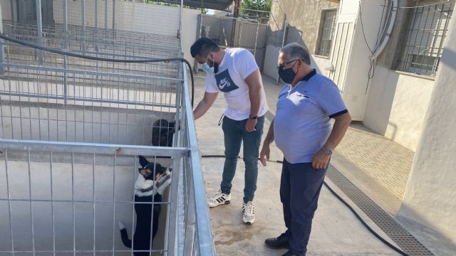 Puerto Lumbreras recoge más de medio centenar de animales abandonados y logra más de 30 adopciones en los últimos 7 meses - 2, Foto 2