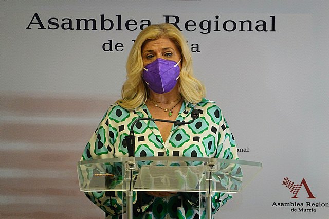 El PSRM insiste en la necesidad urgente de aprobar una ley que regule el reconocimiento de familia monoparental - 1, Foto 1