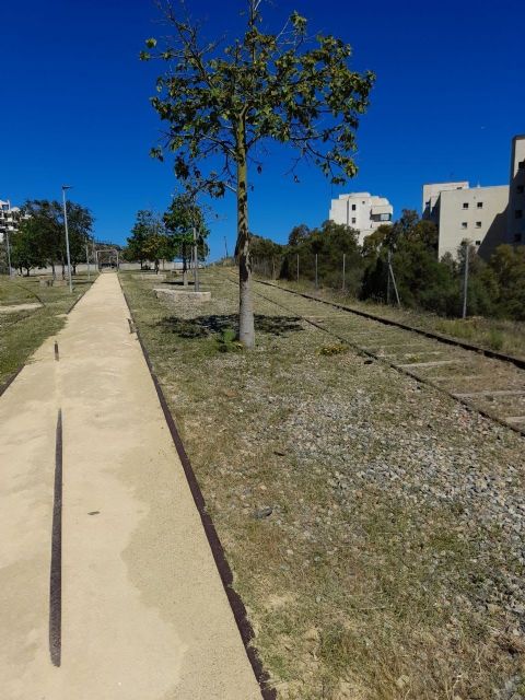 Se procede al desbroce y limpieza de la Vía Verde del Embarcadero de El Hornillo en Águilas - 1, Foto 1