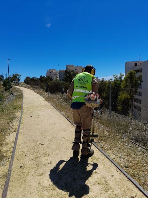 Se procede al desbroce y limpieza de la Vía Verde del Embarcadero de El Hornillo en Águilas - 3, Foto 3
