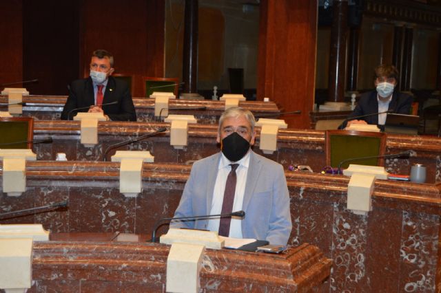 El GP Ciudadanos reclama una ley estatal que regule la condición de familias monoparentales - 1, Foto 1