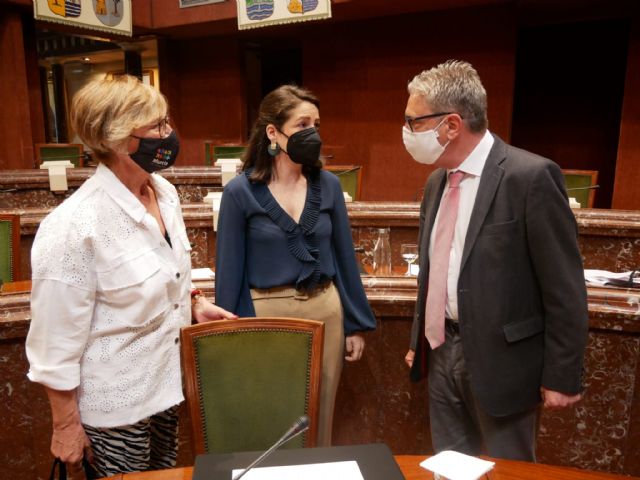 Maruja Pelegrín: Las familias monoparentales merecen mucha más protección que la que les prestaría la insuficiente Ley del PSOE - 1, Foto 1