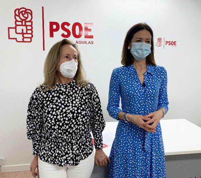 Mari Carmen Moreno sobre el CIAR: El consejero de Salud nos ha mentido - 1, Foto 1