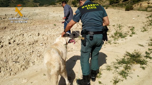 La Guardia Civil rescata a dos perros en un pantano de riego de Totana, Foto 2