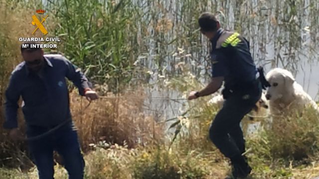 La Guardia Civil rescata a dos perros en un pantano de riego de Totana, Foto 7