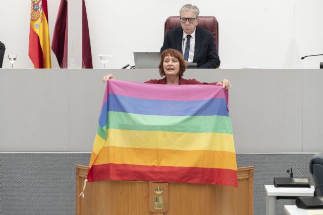 Marín lleva al Pleno de la Asamblea Regional la bandera del arcoíris ante el intento de Vox de prohibir su presencia en las instituciones - 1, Foto 1