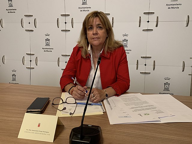 VOX critica que el autócrata Serrano elimina definitivamente la moción del cese de Teresa Franco del orden del día del Pleno - 1, Foto 1