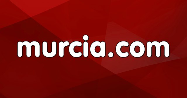 1.070.000 electores elegirán a 773 concejales de los 45 municipios de la Región de Murcia en las elecciones locales del 28 de mayo - 1, Foto 1