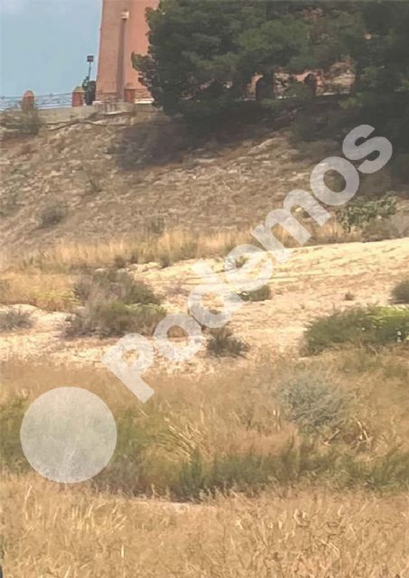Podemos Cieza dirige una queja al Defensor del Pueblo por la falta de respuesta formal a un escrito presentado al Ayuntamiento hace ahora casi un año - 2, Foto 2